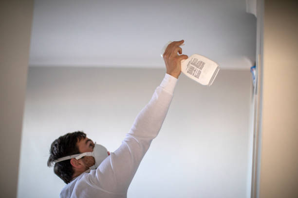 Best Same-Day Mold Removal  in East Hampton North, NY