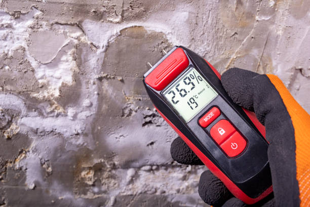 Best Certified Mold Removal  in East Hampton North, NY